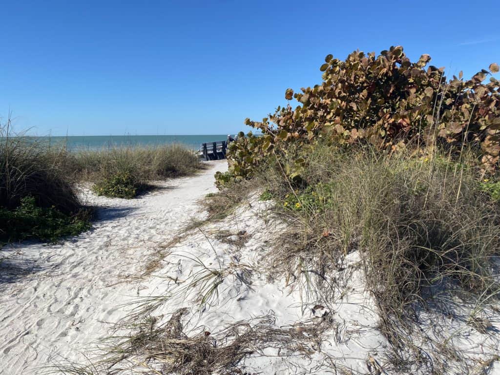 St Petersburg vs Tampa - Beach pic from St. Pete. st pete vacations
st petersburg vacations
distance from st petersburg to tampa
living in tampa vs st petersburg
saint petersburg vacation