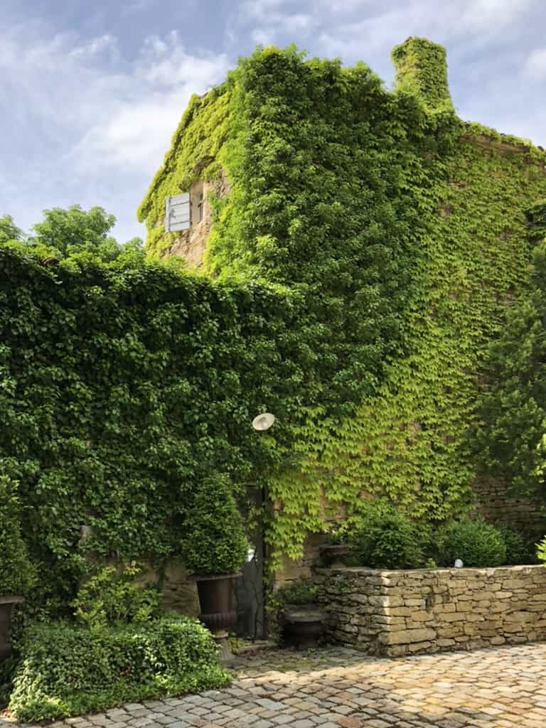 Gordes - Gordes Hotel - Villa Hautvallon photo of beautiful hotel with ivy