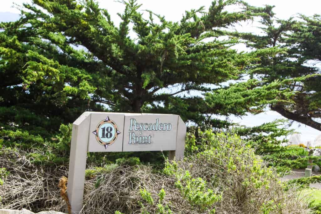 Pescadero Point - 17 mile drive in Pebble Beach - Pacific Coast Highway Road Trip