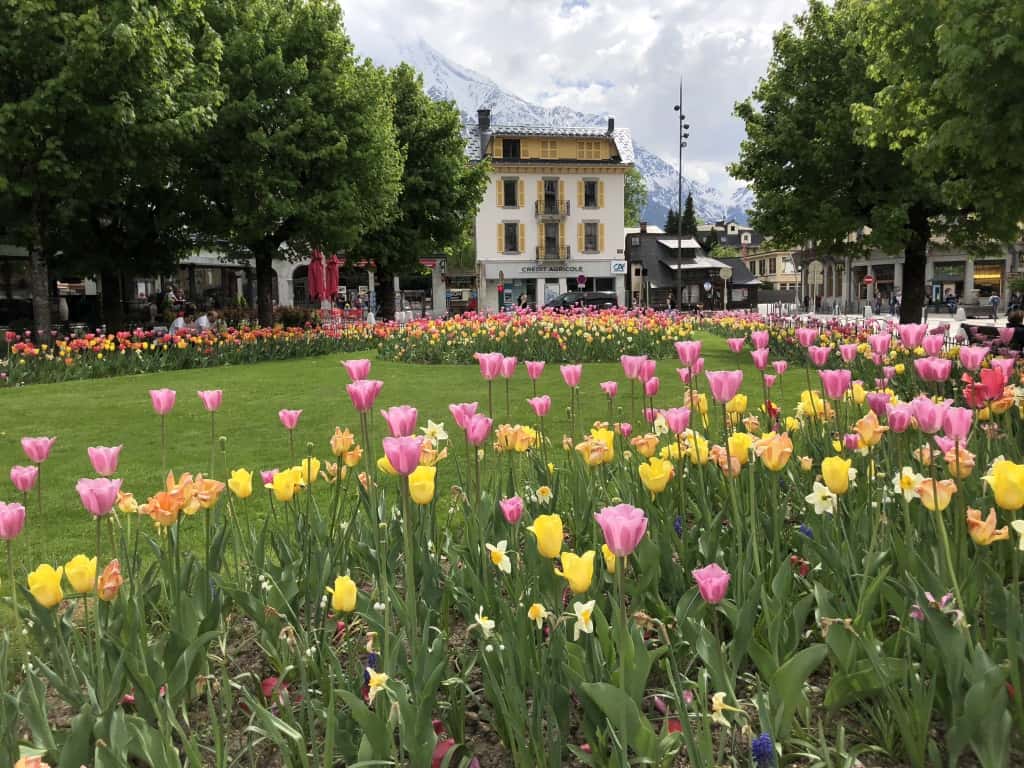 Town of Chamonix France has beautiful mountains in the background.  Starting around May, you will see tulips in the town.