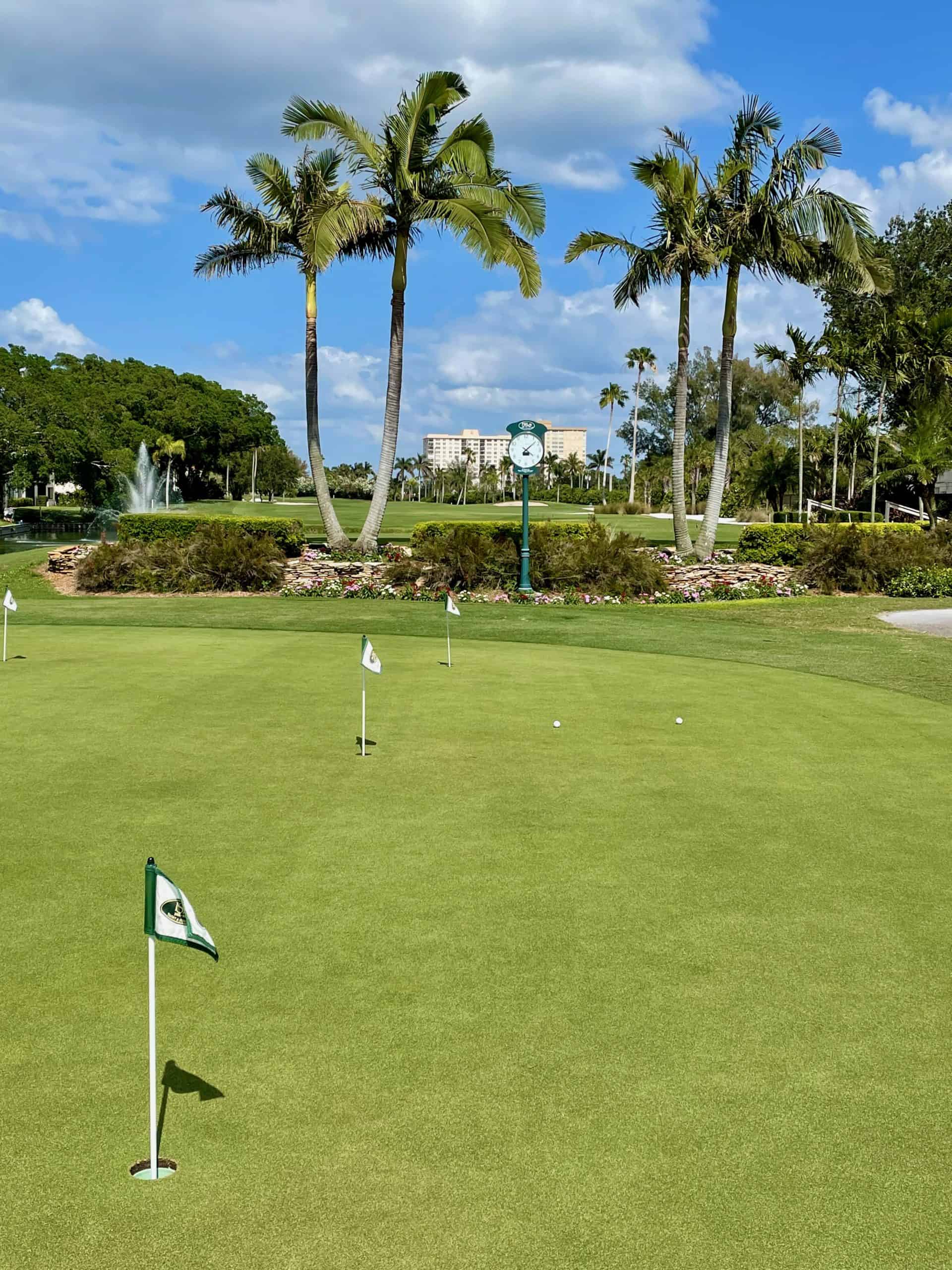 7 Best Pinellas County Golf Courses St Pete FL Golf