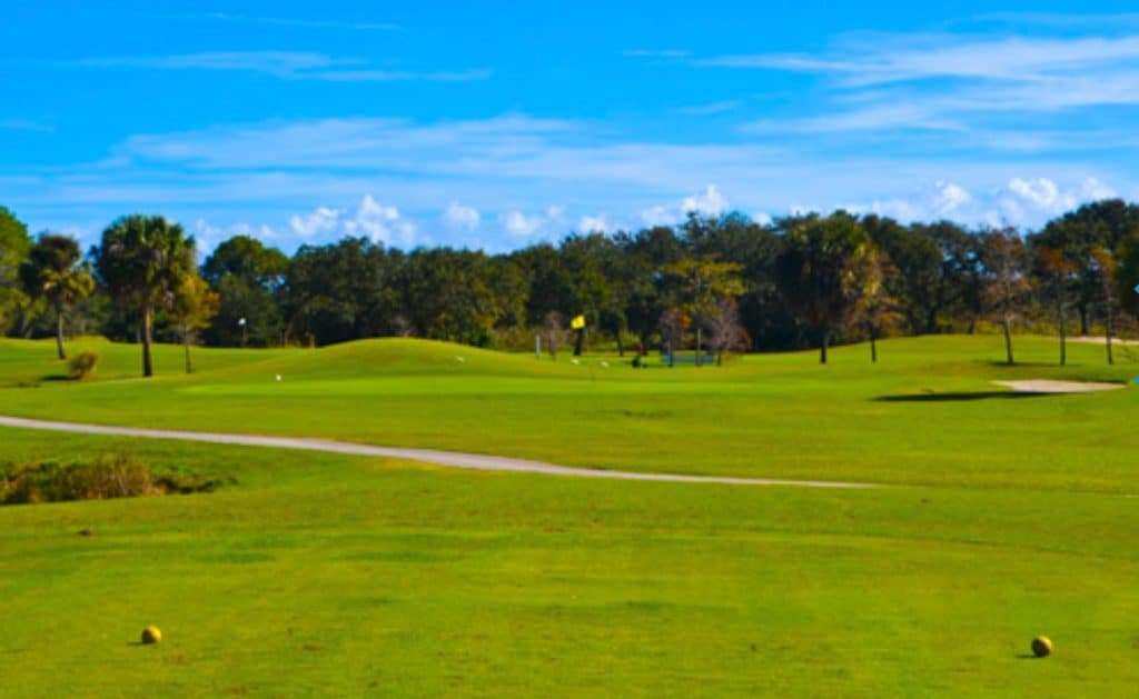 Mangrove Bay Golf Course located in Pinellas County Golf Courses