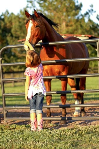 Ocala Equestrian Farms, little girl petting a horse on horse farms near ocala fl