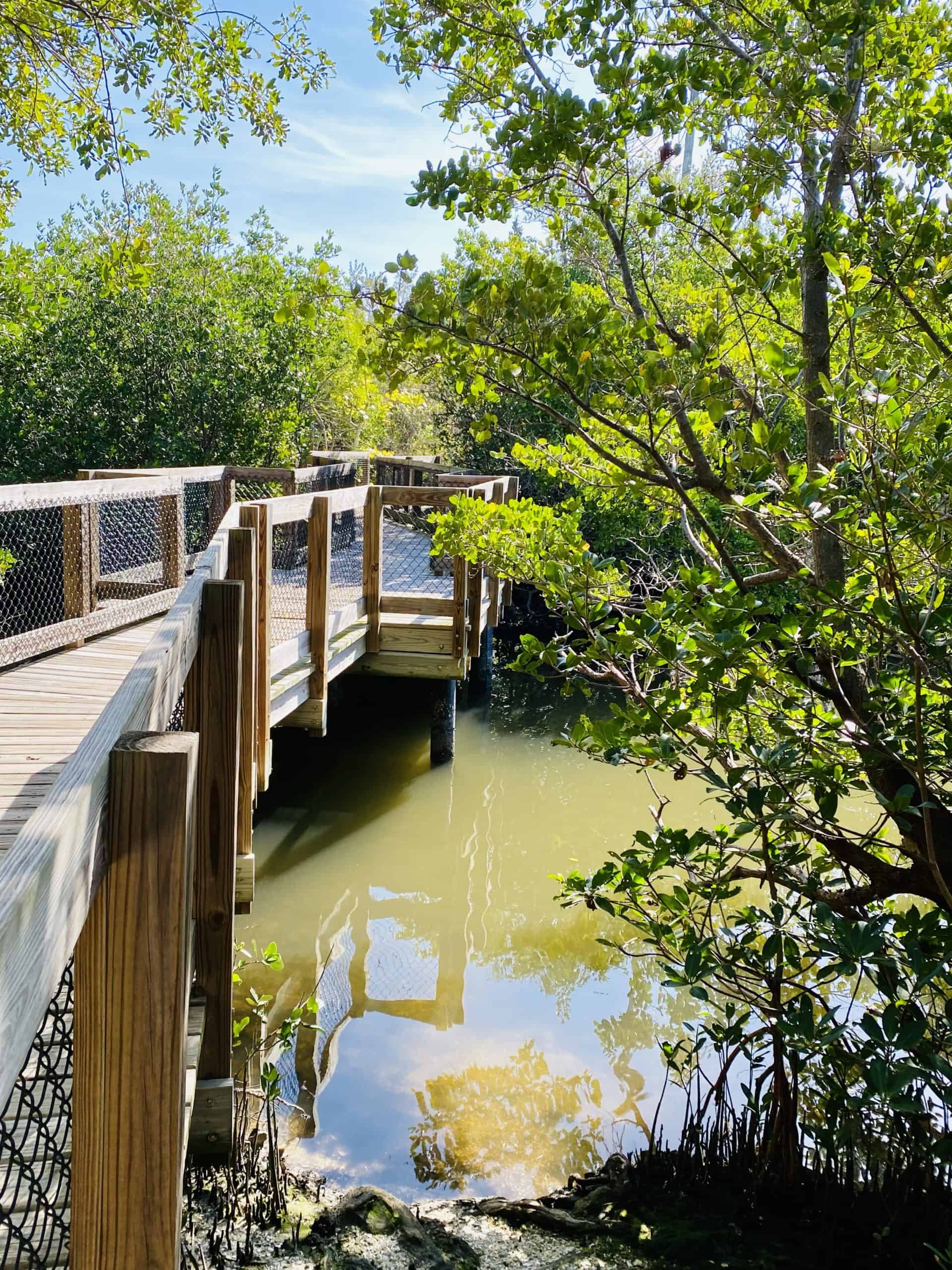Clam Bayou Nature Preserve and Park has these beautiful ada accessible trails.