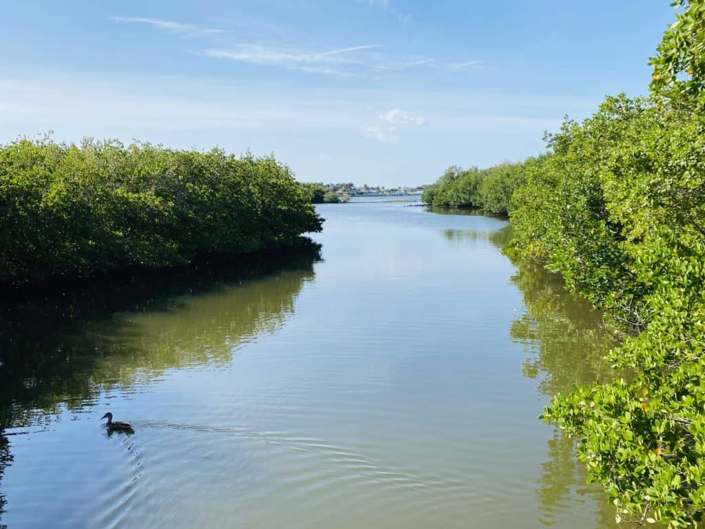 One of the most beautiful Pinellas county parks with water views, birds, and ducks to see.