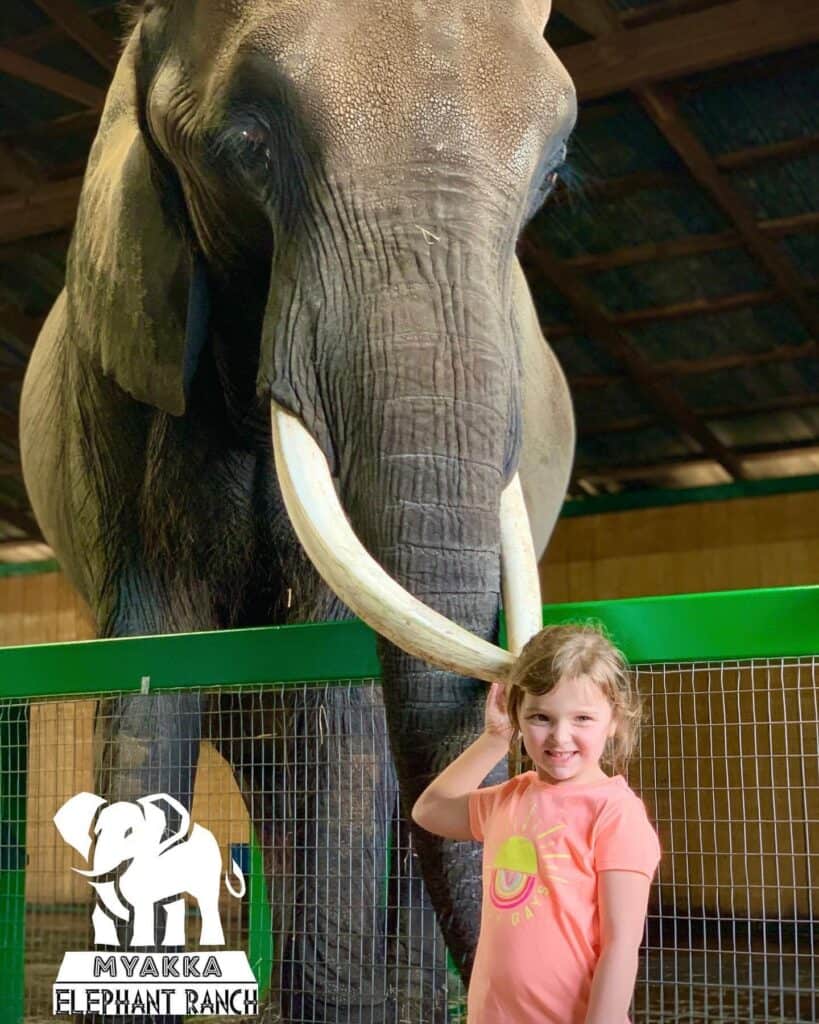 Myakka Elephant Ranch