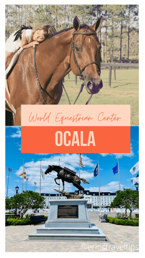 Orange and Cream Bold Collage Fitness Wellness Pinterest Idea Pins3 world equestrian center ocala