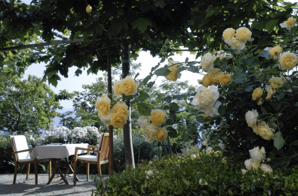 Boutique Hotels Amalfi Coast  garden view.  Ca' P'a Casa Privata garden views with roses surrounding the dining tables. 