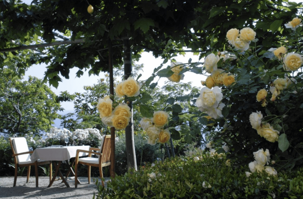 Boutique Hotels Amalfi Coast garden view. Ca' P'a Casa Privata garden views with roses surrounding the dining tables.