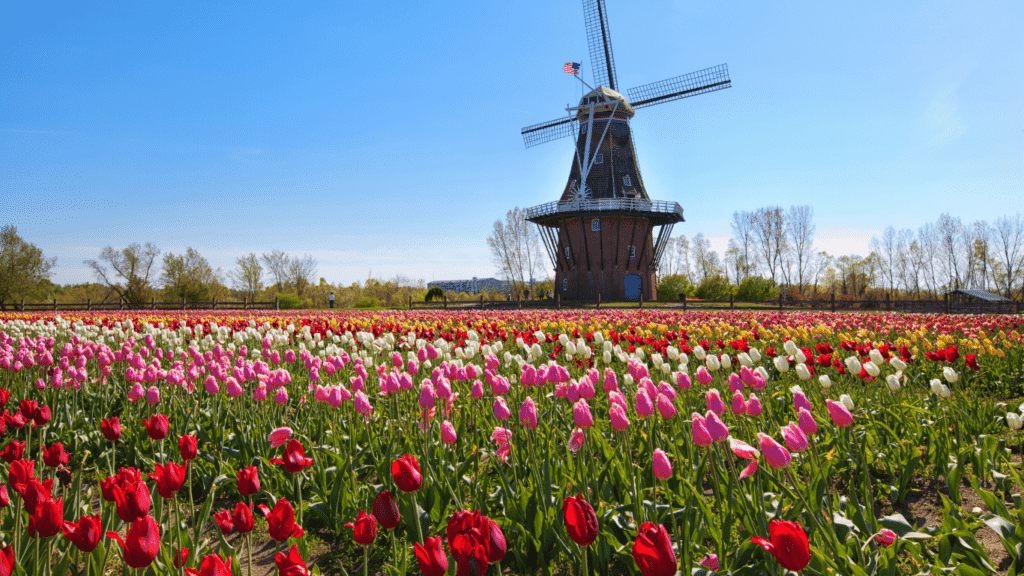 Untitled design14 Best Small Towns in Michigan