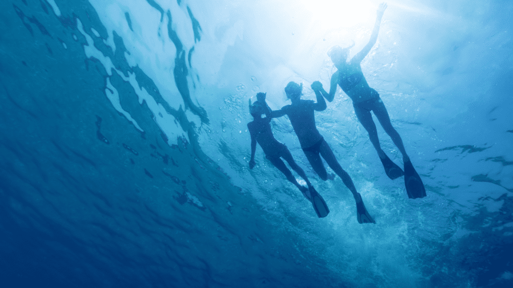 Snorkel in Anna Maria as a fun thing to do in Bradenton