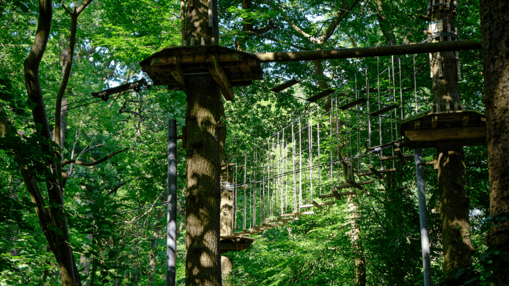 TreeUmph! Adventure Course is ideal for Bradenton things to do with co-workers.