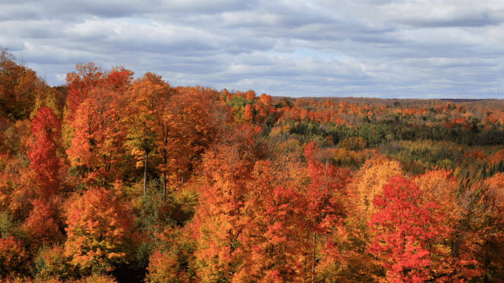 Gaylor is one of the best small towns in Michigan for it's great golf courses.