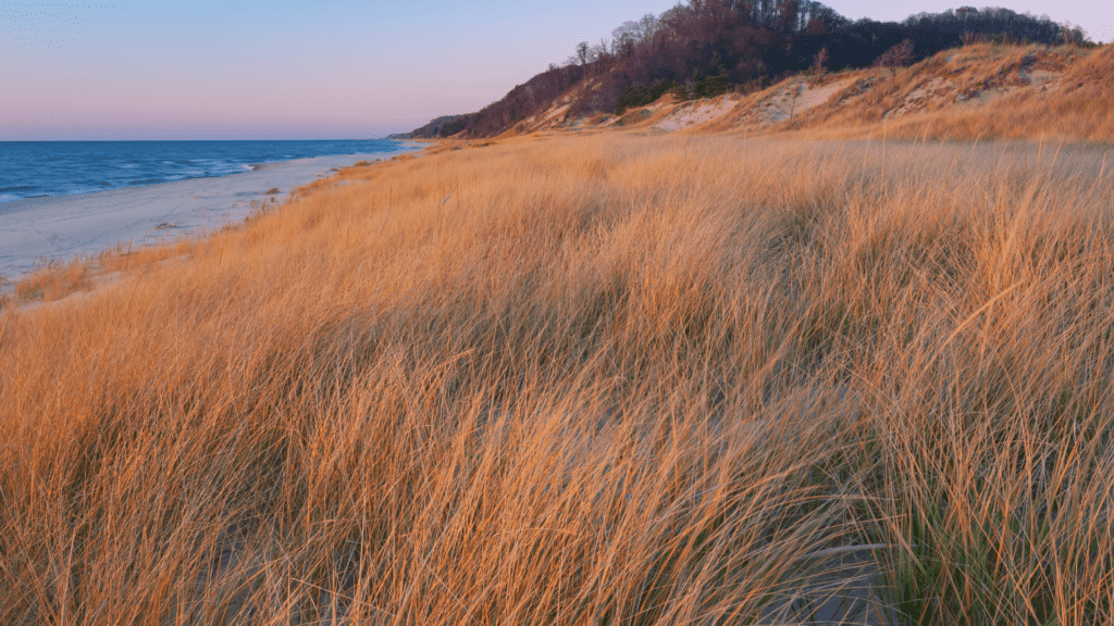 Saugatuck beaches have some of the most gorgeous views - look at this blue orange sunset.