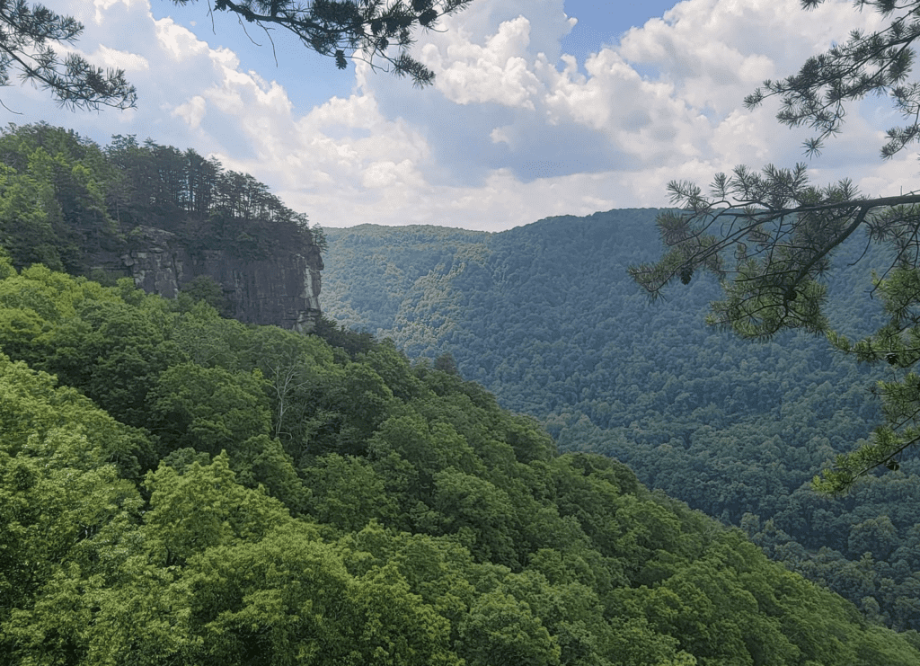 Endless Wall Trail has sweeping views of the valley in West Virginia.