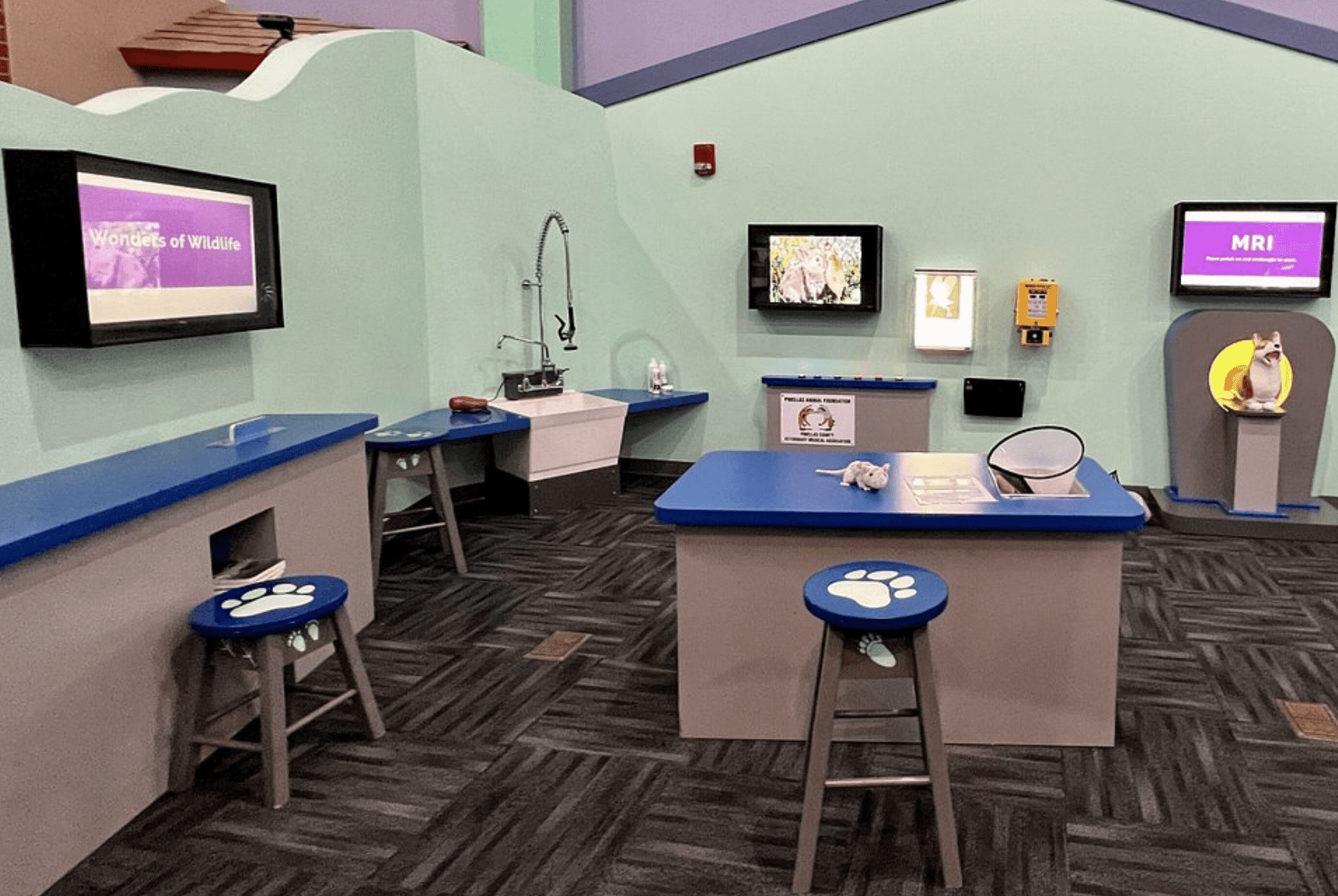 Great Explorations Childrens Museum Vet Clinic