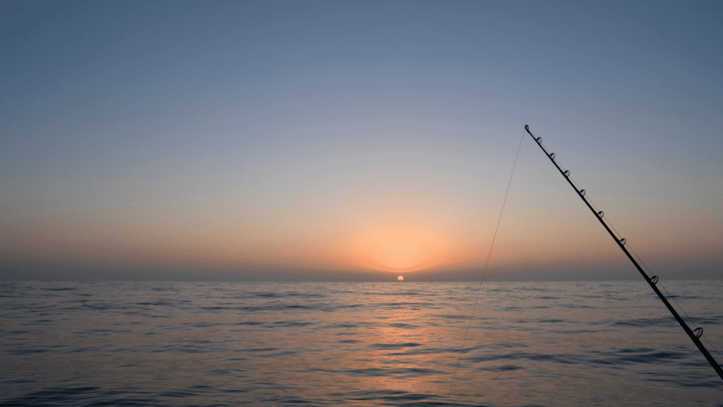 things to do in Madeira beach - fish! Sunset photo of fishing experience.