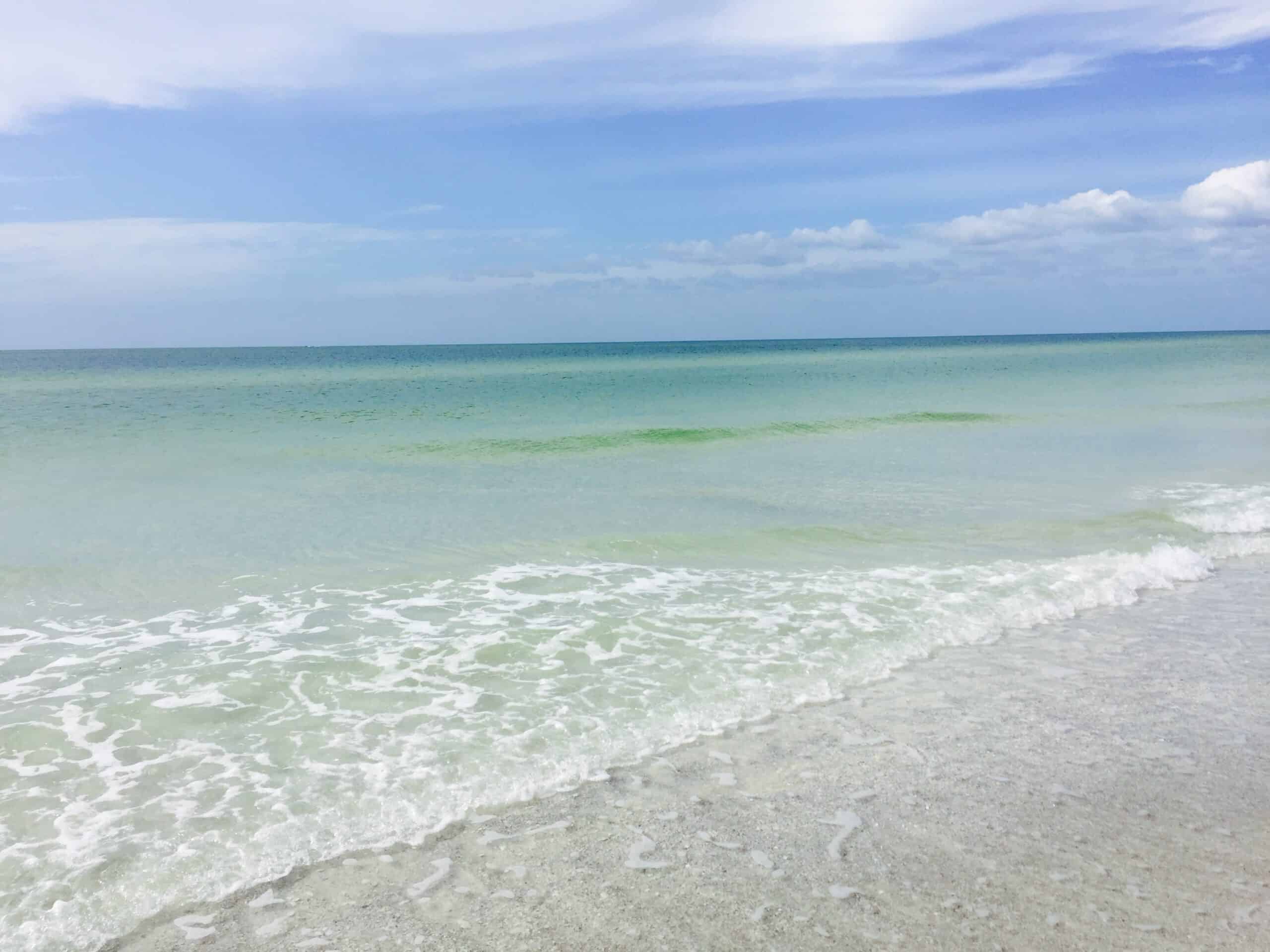 St Petes Beach Water Temp