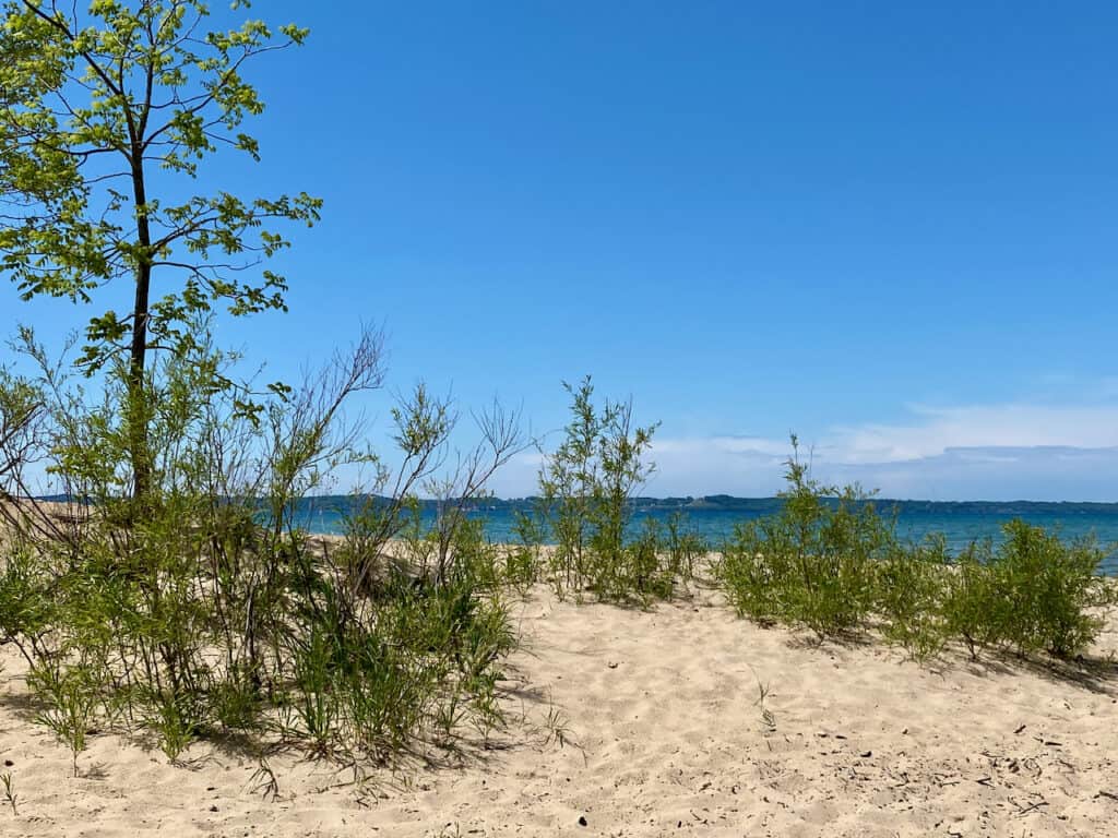 This image has an empty alt attribute; its file name is Grand Traverse Michigan Beach View