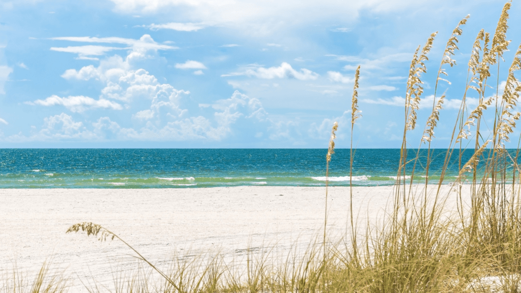 Gorgeous beach photo with waves, white sandy beaches and grass on a sunny day in St Pete Beach.