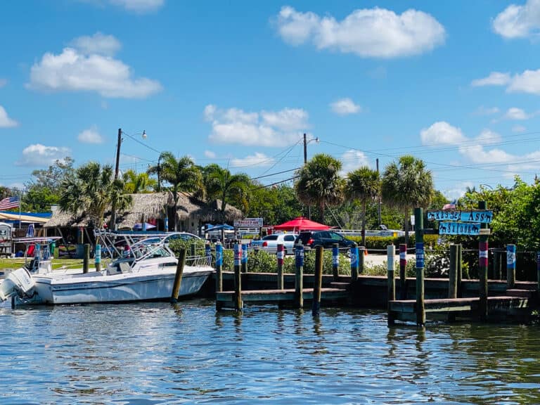The 17 Best Things to Do on Pine Island Florida