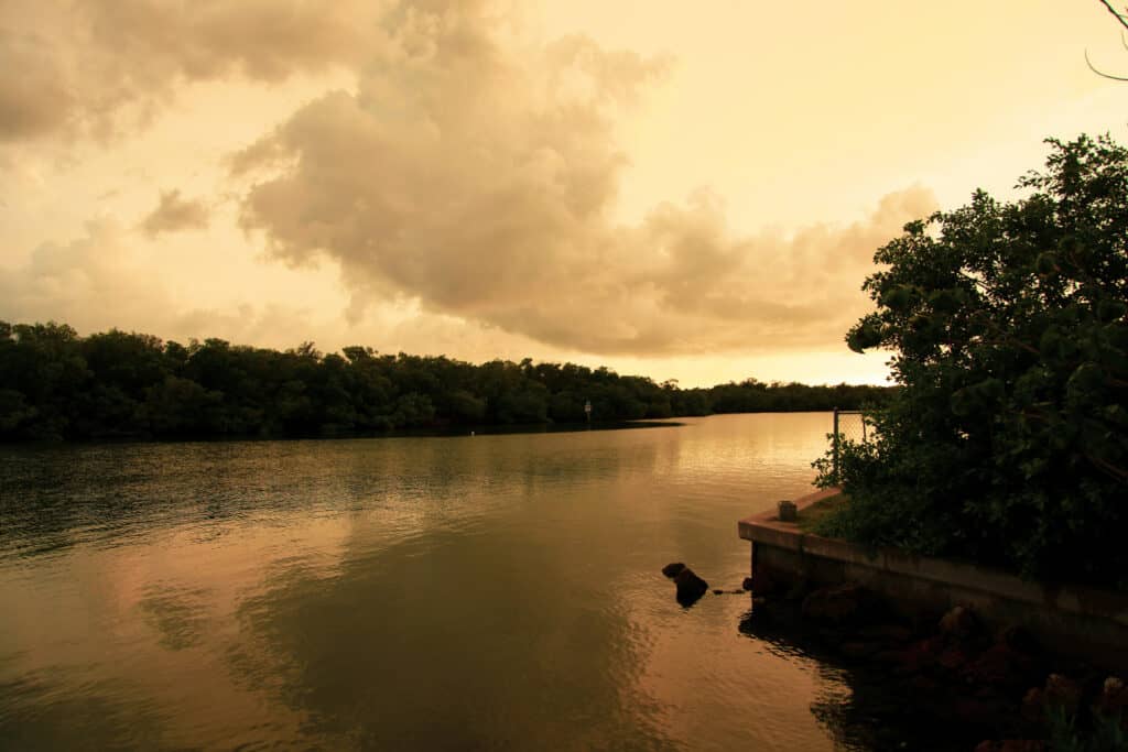 Pine Island 14