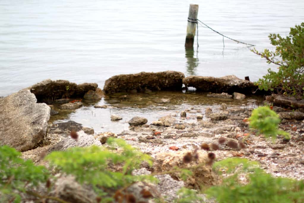 While looking for Pine Island Restaurants, see some of these beautiful water views of the Gulf of Mexico.  