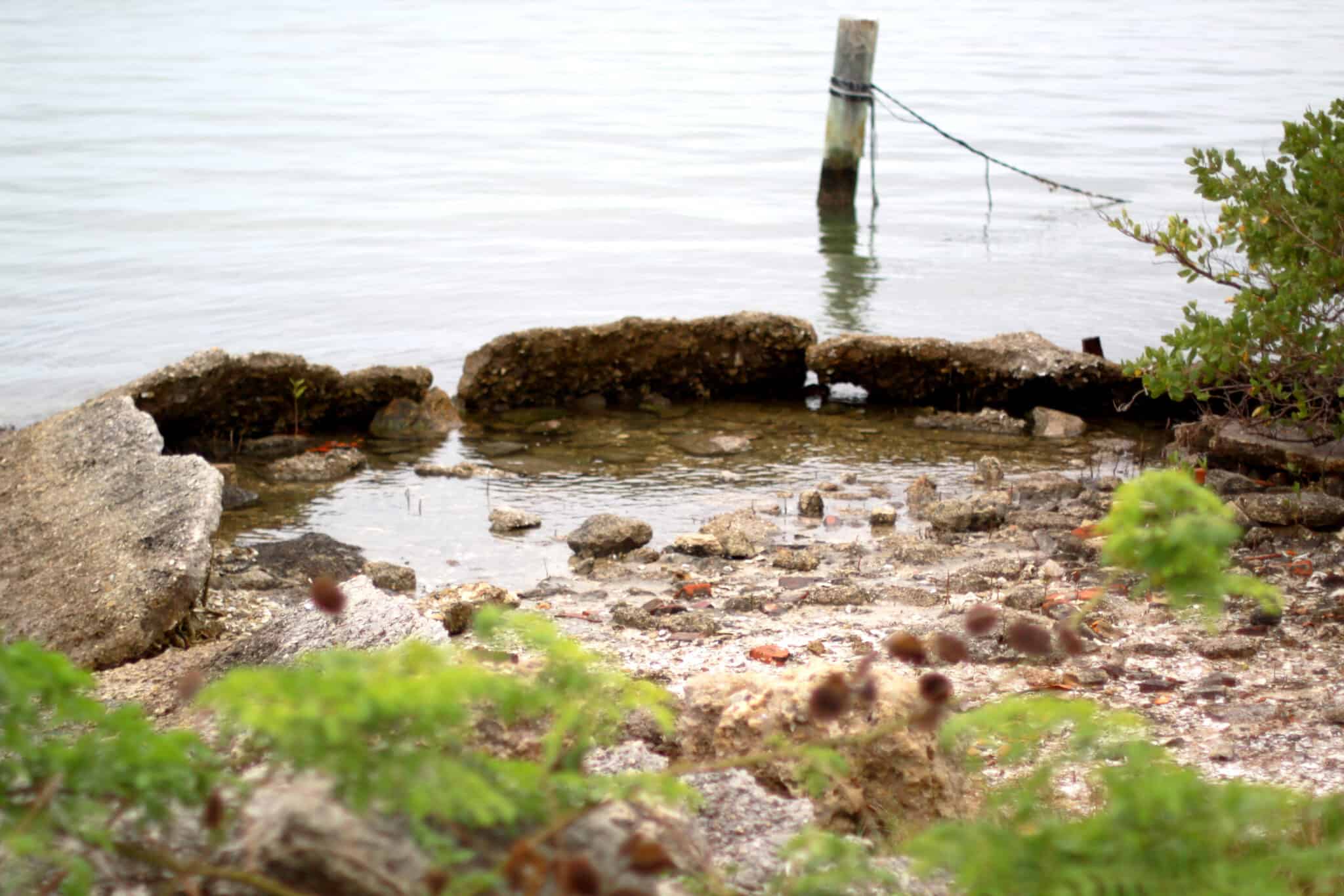 The 10 Best Pine Island Restaurants to Eat at Right Now