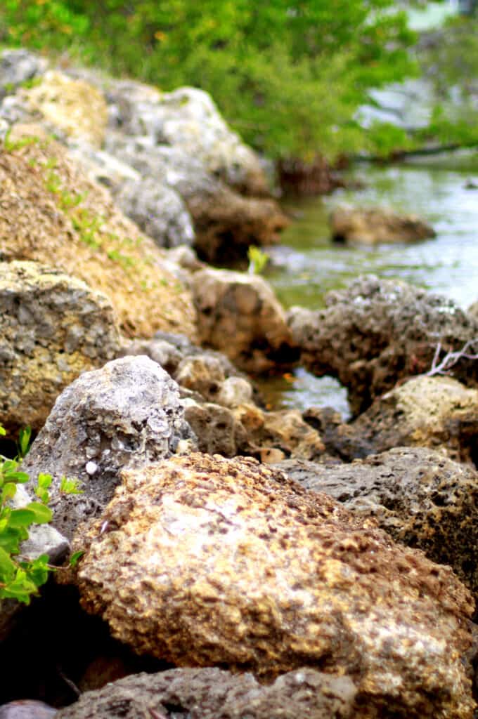 Rocks on Pine Island Sound