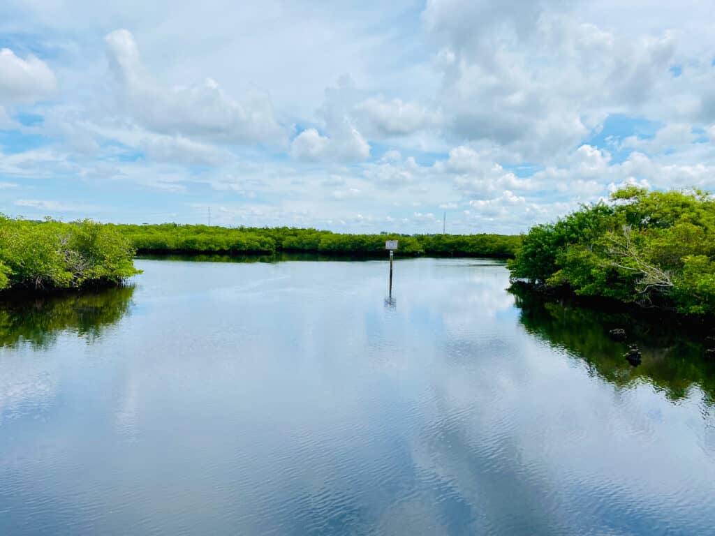 Water views from the Tarpon Springs Splash Park