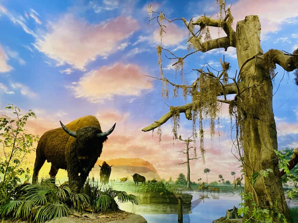 Exhibitions at The Bishop Museum in Bradenton FL