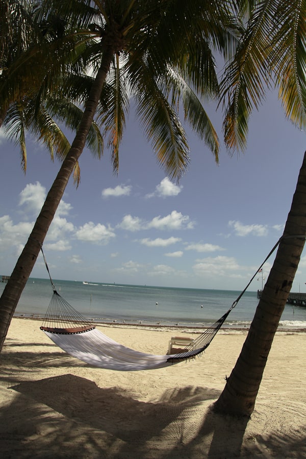 Key West Quotes, Picture of hammock and beach.  Florida Keys Quotes