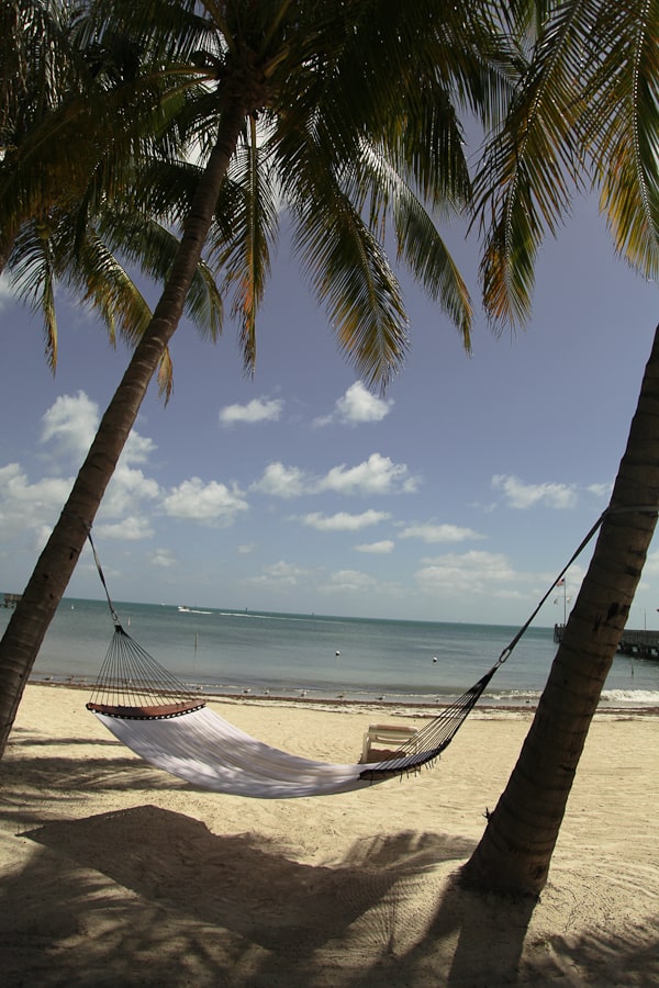 Key West Quotes, Picture of hammock and beach. Florida Keys Quotes
