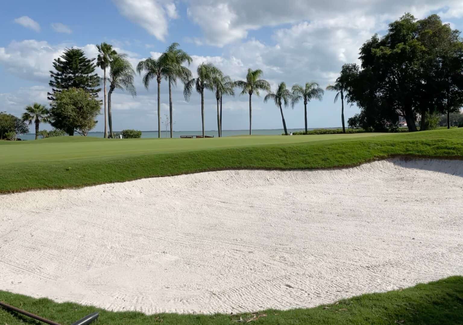 7 Best Pinellas County Golf Courses St Pete FL Golf