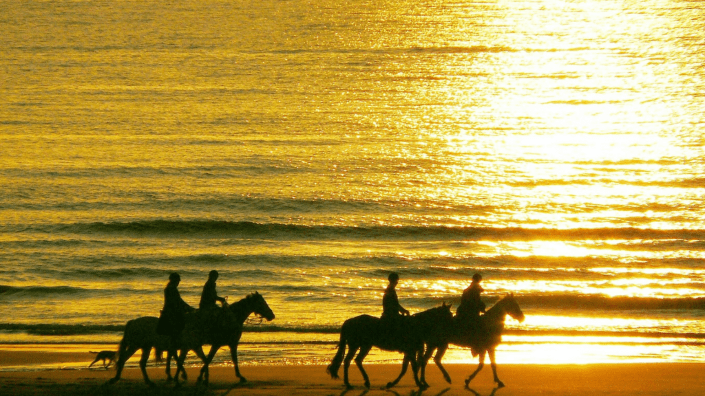 Things to do in Bradenton for couples
Things to do with kids in Bradenton
Horseback riding on the beach in Bradenton