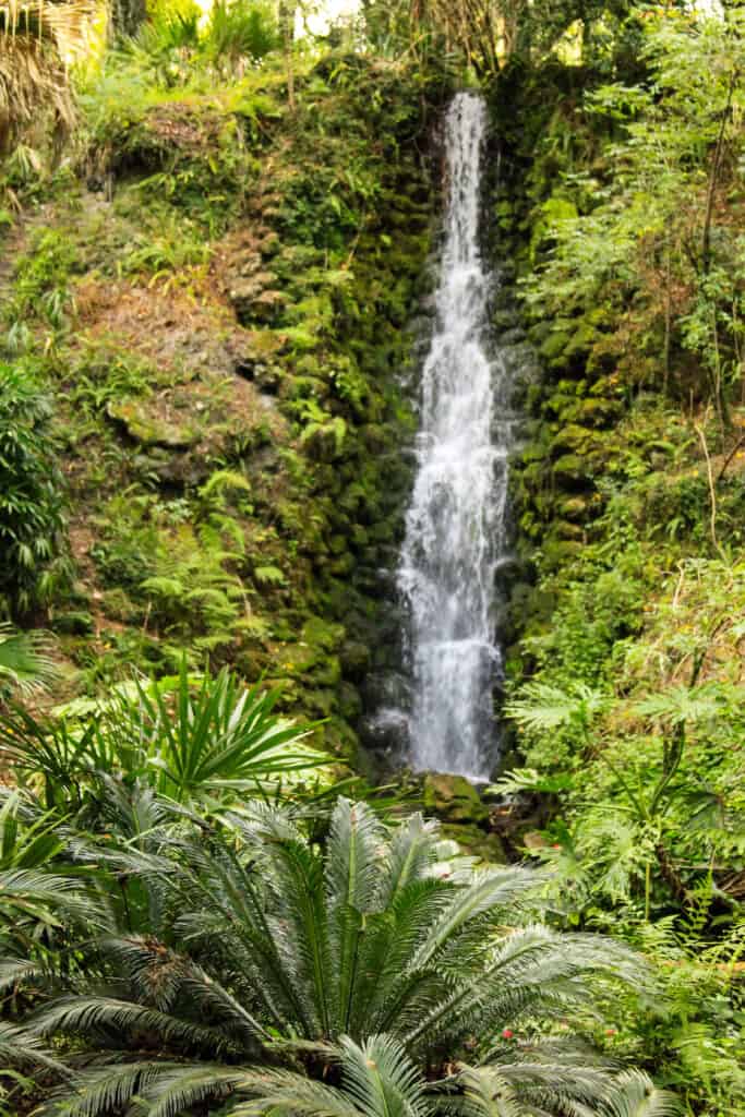 Rainbow Springs State Park Waterfalls