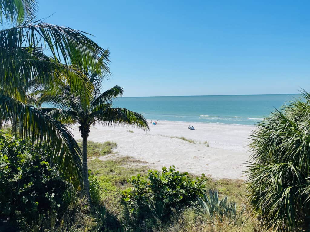 Indian Rocks Beaches with clear water and white sugar sand beaches.  Palm trees swaying in the wind gently.