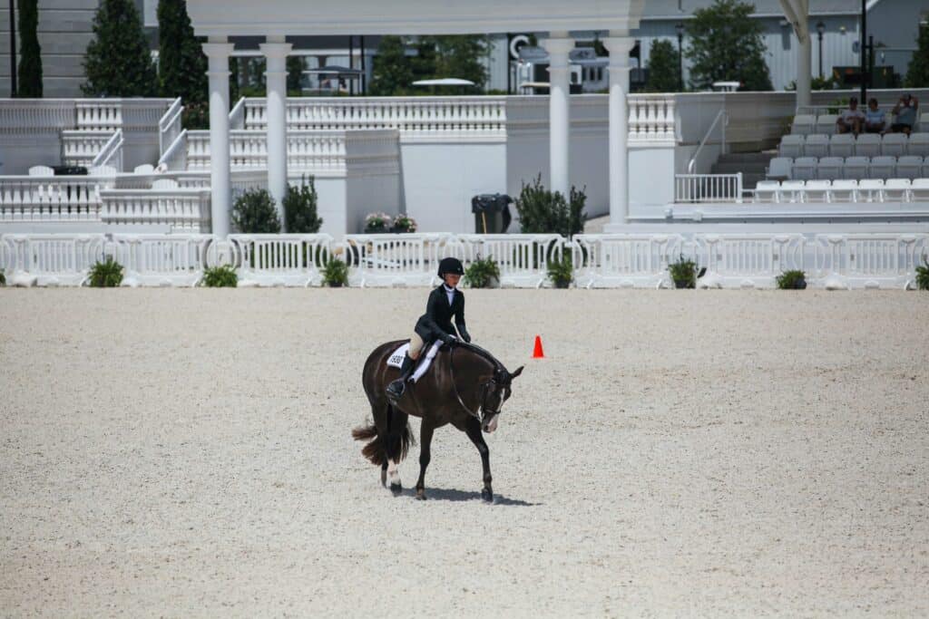 World Equestrian Center arena with horse and rider competing in English event. 