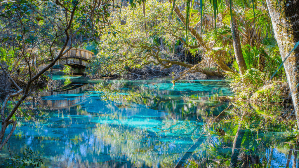Juniper Springs in the Ocala National Forest, ocala fl beaches. nearest beach to ocala Florida. 