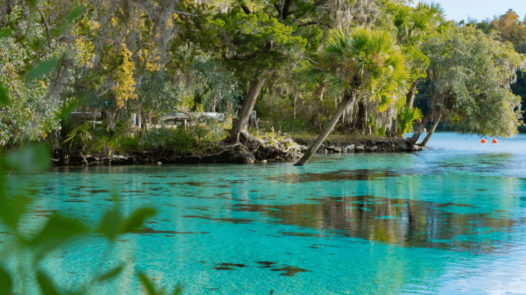 Silver Glen Springs Recreation Area in Ocala Florida.  