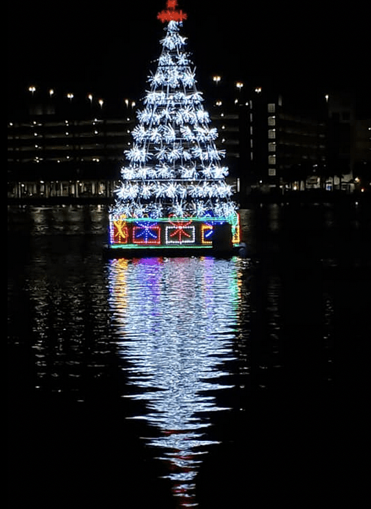 Pirate Water Taxi, Tampa Bay Christmas Lights