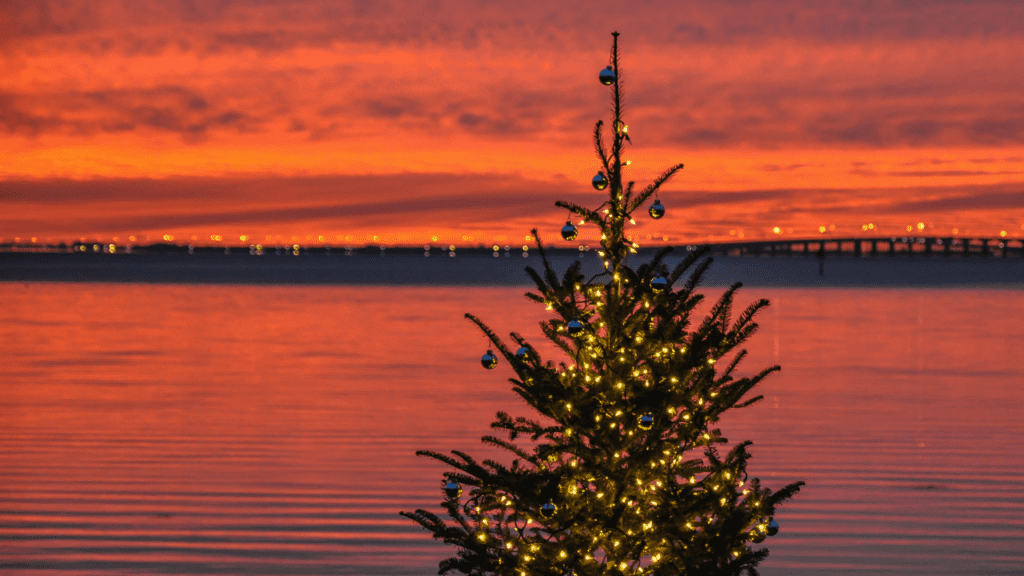 Tampa Christmas Lights on a Christmas Tree with sunset in the background.