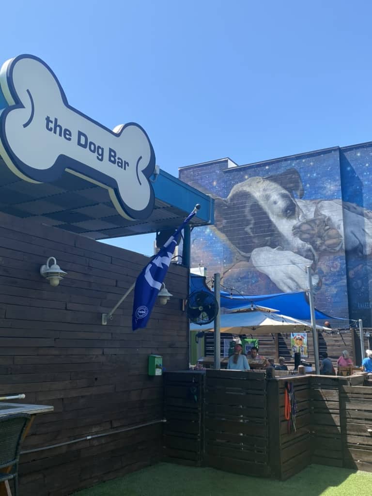 The Dog Bar in Downtown St Pete