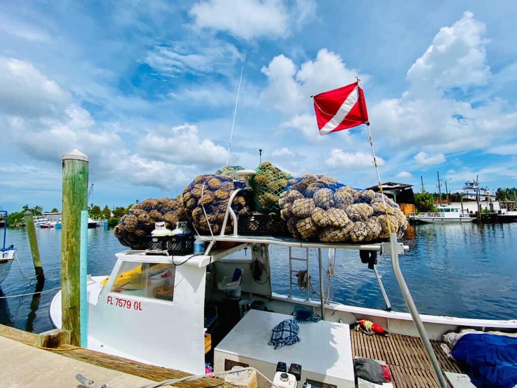 Tarpon Springs Sponge Docks, photo of boat with sponges