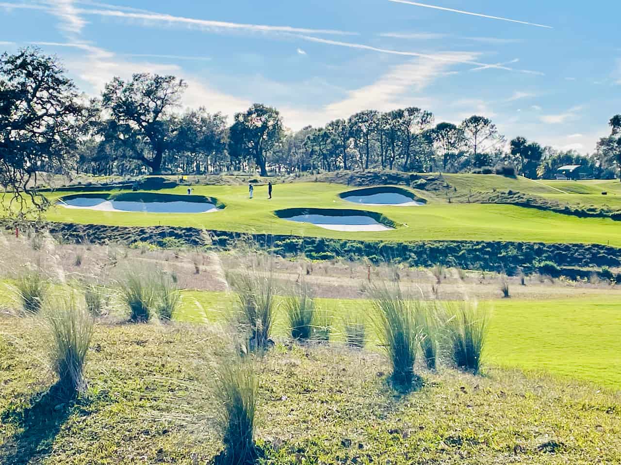 7 Best Pinellas County Golf Courses St Pete FL Golf