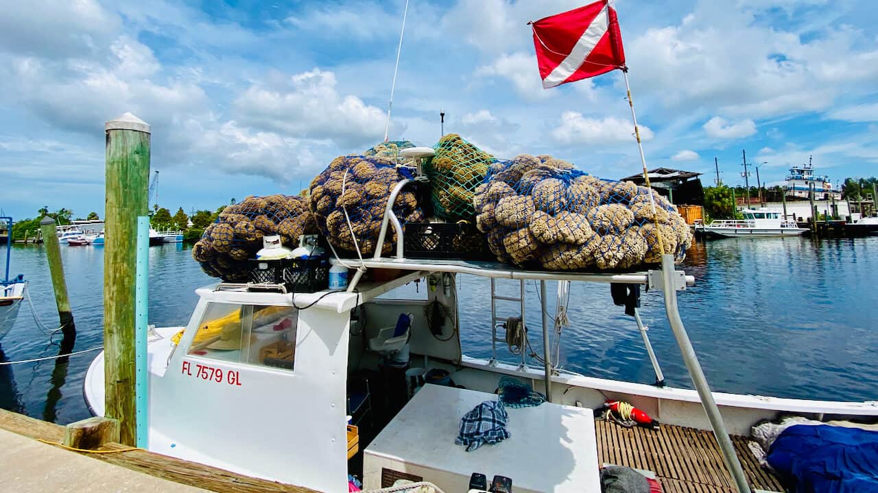 Tarpon Springs Sponge Docks