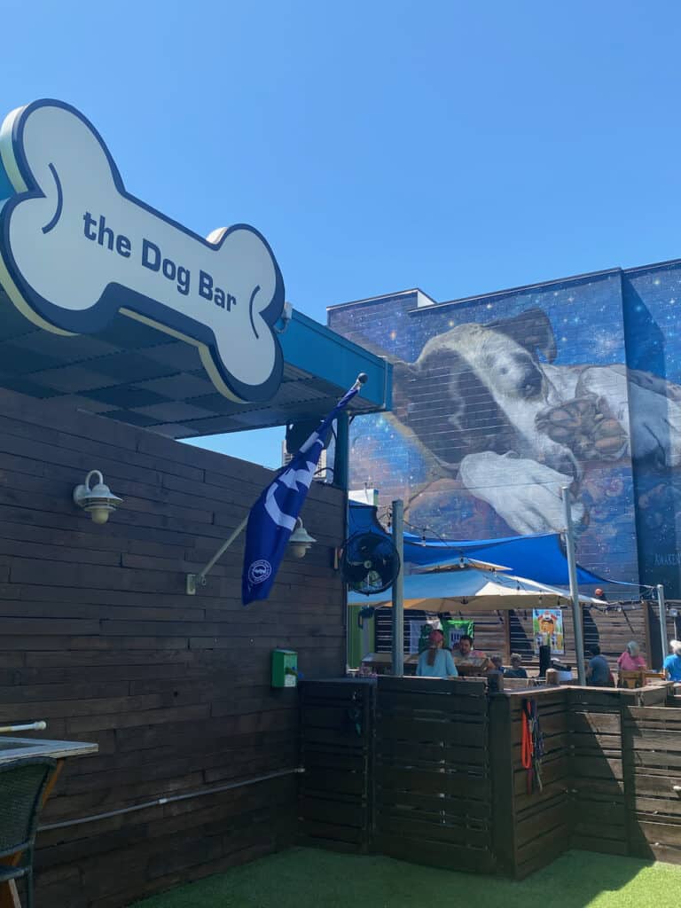 The Dog Bar
