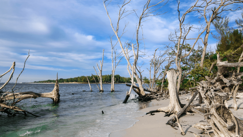 Private beach in Longboat Key