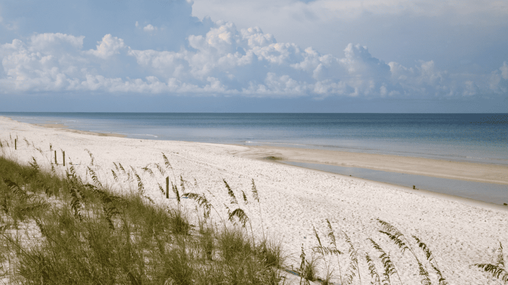 Cape San Blas beach photo with sea oats blowing in the wind with calm water.