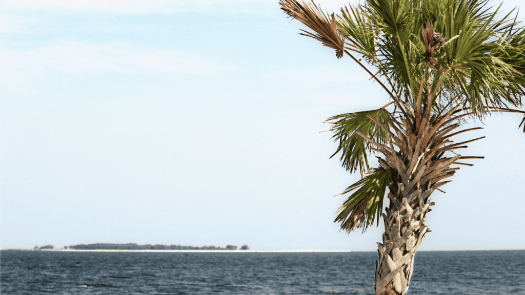 Dog Island Beach view from Carrabelle, Florida